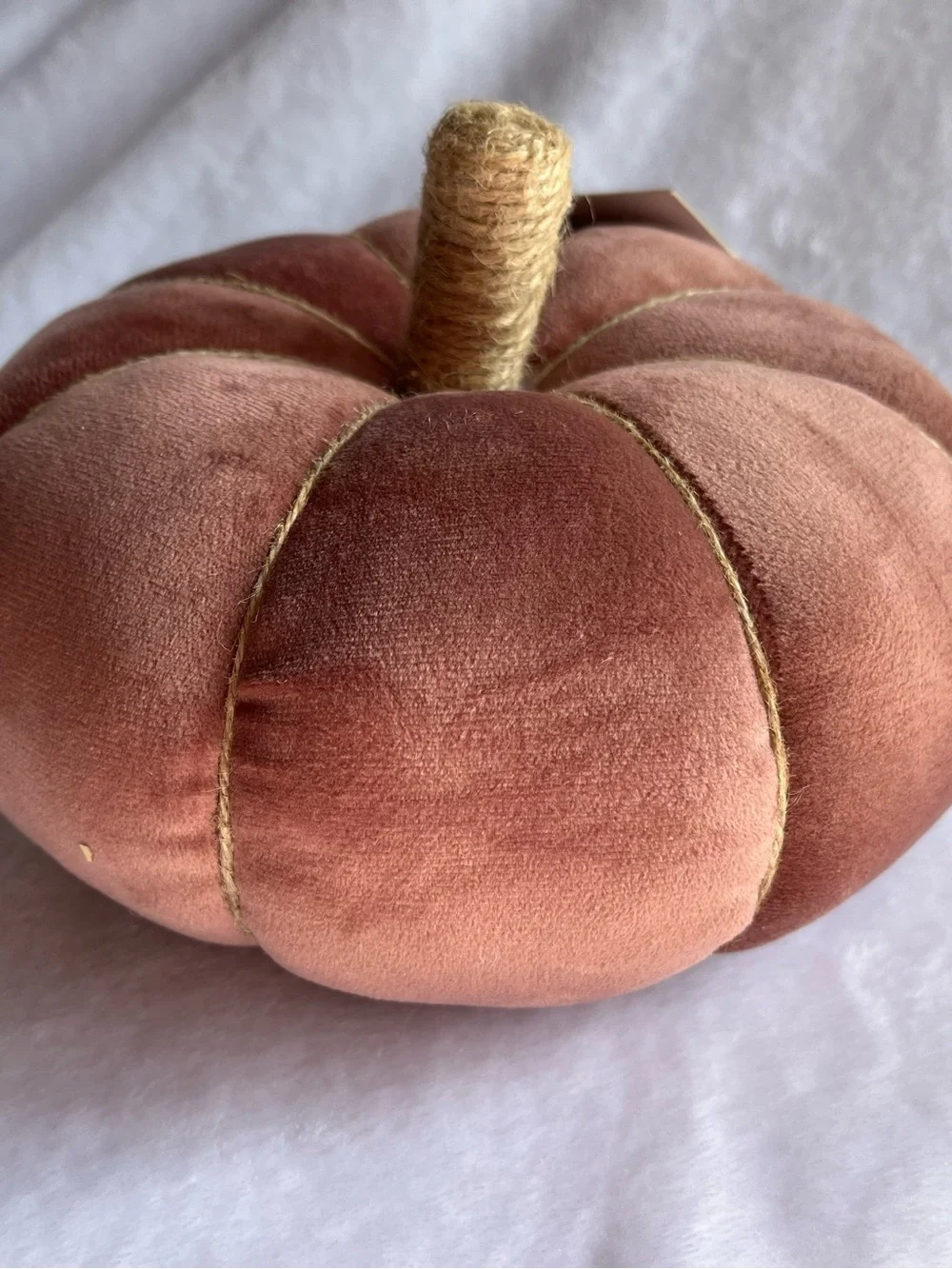 Velvet Pumpkin Decorative Fall Accent Pillow- Harvest Lane